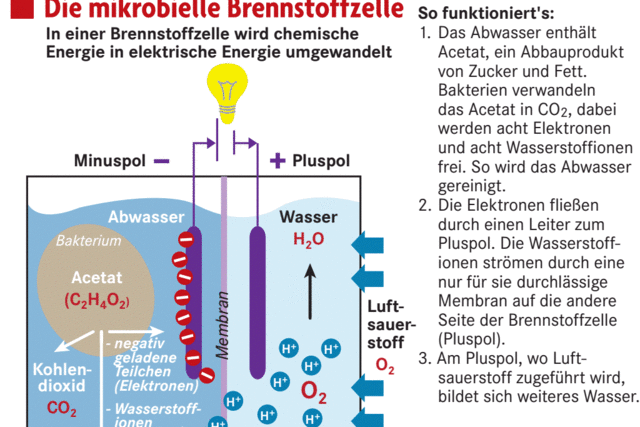 HINTERGRUND: Info