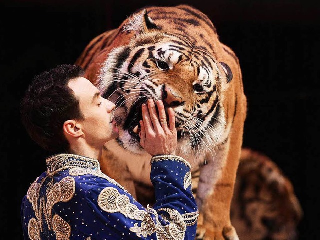 Star-Dompteur Christian Walliser mit Tiger  | Foto: Veranstalter