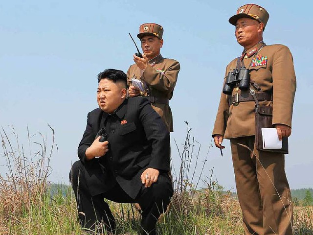 n Feldherrenpose: Kim Jong-un bei einer Militrbung  | Foto: dpa