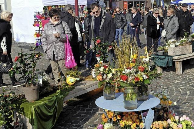 Die Blten locken die Besucher an