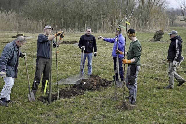 Streuobstwiese aufgewertet