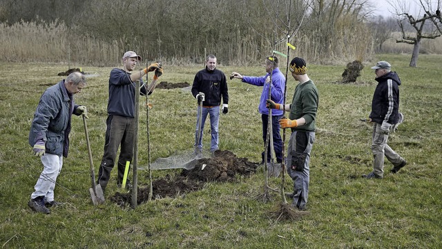 20 Obstbume wurden im Naturschutzgebi...wurde die Streuobstwiese aufgewertet.   | Foto: Privat