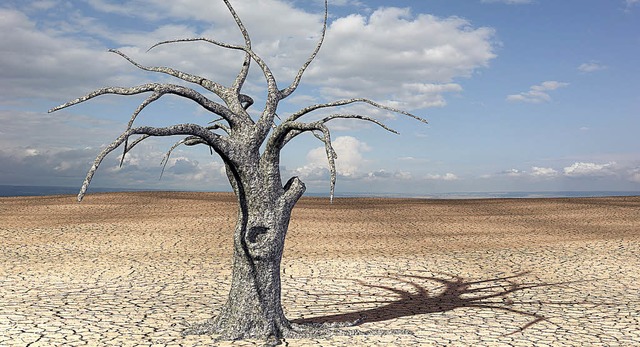 Trockenheit ist in weiten Teilen der Welt ein Problem.   | Foto: Rilo Naumann (fotolia.com)