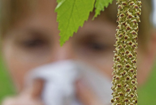 Fr Pollenallergiker ist der Frhling oft durch Beschwerden eingetrbt.   | Foto: Patrick Pleul/dpa