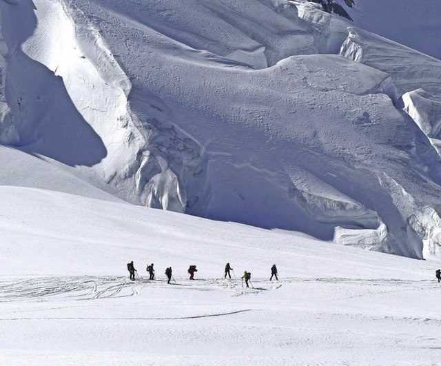 Skitourenfahrer aus Waldkirch unterwegs im Mont-Blanc-Gebiet.   | Foto: Verein