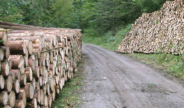 Die Holzernte und auch die Wegeunterha...uer Gemeindewald erledigt worden sind.  | Foto: Archivfoto: Ulrike Spiegelhalter