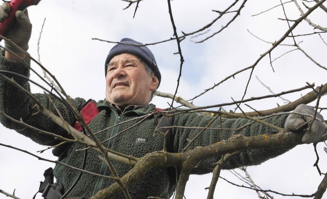 Peter Felber ist der Herr der Bume be...Jahreszeit  die Schere ansetzen muss.   | Foto: Jrn Kerckhoff