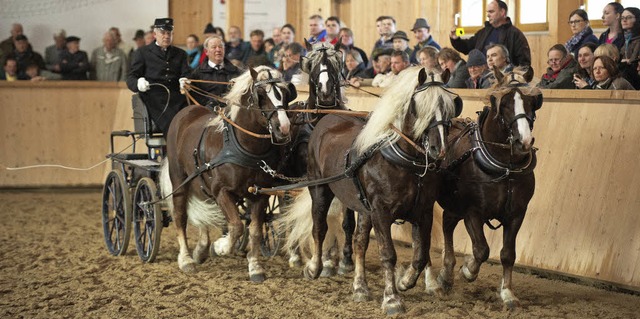 Die Zchter prsentierten ihre Deckhengste in der Weitannenhalle.   | Foto: Wolfgang Scheu