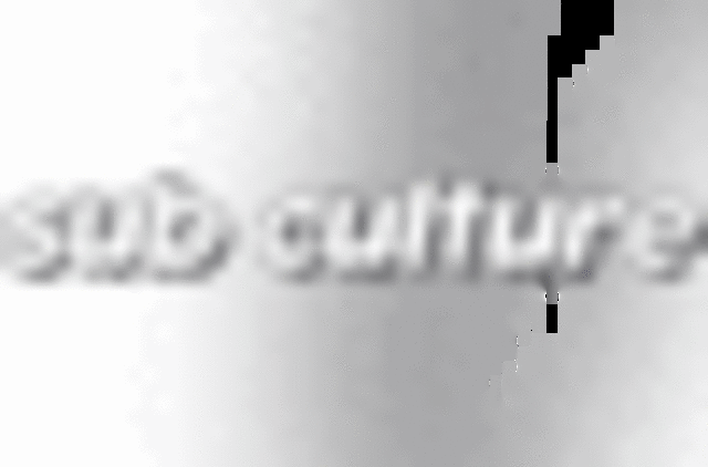 Zehn Jahre Sub Culture