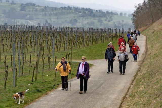 Volkswandertag in Wallburg