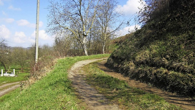 Erosionsbedingt wird der Wirtschaftswe...rg/Gisibel in Nordweil immer schmaler.  | Foto: Reiner Merz