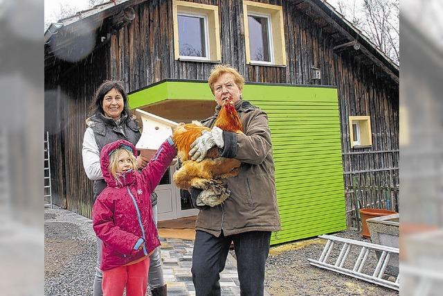 Das Vogelhsli als neuer Treffpunkt