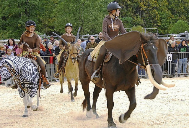 Der Weideviehmarkt 2015 war laut Heine...nanziell gab es ein ordentliches Plus.  | Foto: Edgar Steinfelder