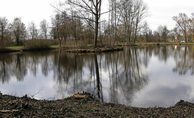 Baumstmpfe sind am Ufer des Reutemattensees bei Tiengen geblieben.  | Foto: Franz Nagel