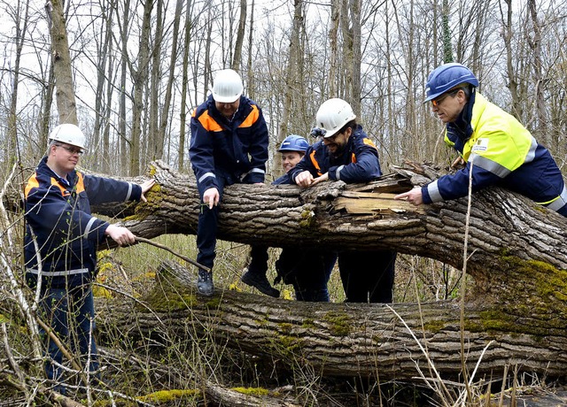 Dem Biber auf der Spur: An einem erst ...wald nach dem Bau des seltenen Tieres.  | Foto: GErold Zink (2)/dpa/Reiser