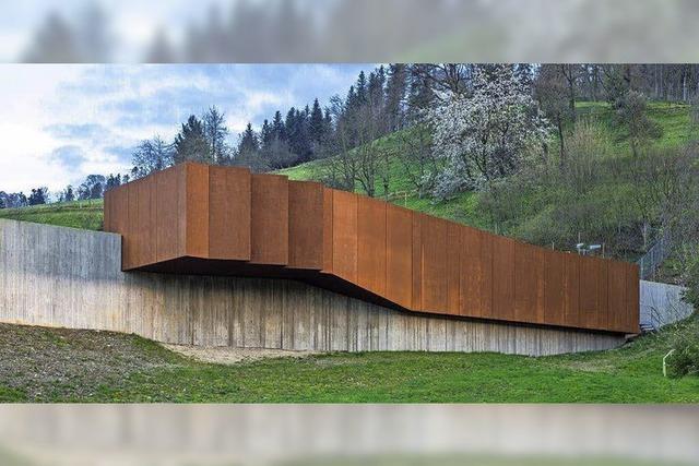 Hingucker am Tunnel bei Waldkirch