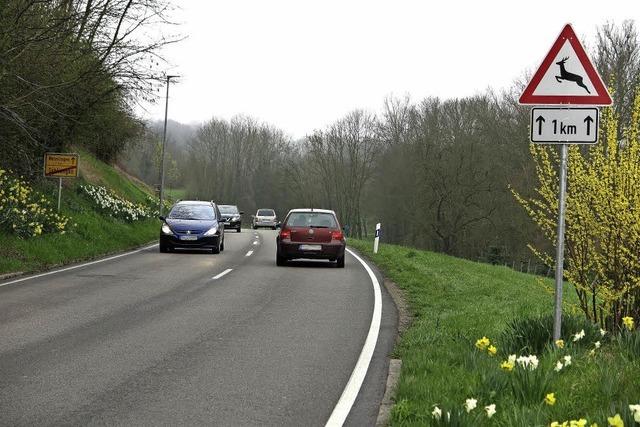 Schliengener Berg – Schwerpunkt fr Wildunflle