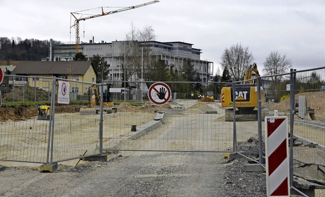 Wegen einer sanierungsbedrftigen Leit...traensperre  in Wehr noch etwas hin.   | Foto: Miloslavic