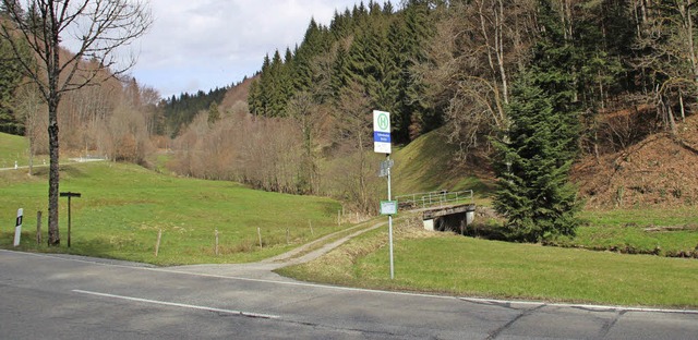 Durch einen Weg soll der Waldbereich b...sburg nach Marzell erschlossen werden.  | Foto: Rolf-Dieter Kanmacher
