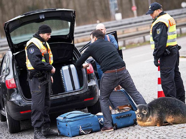 Ein Seehund als Drogenschnffler? Das ...n Aprilscherz der Bremer Polizei sein.  | Foto: Marius Becker