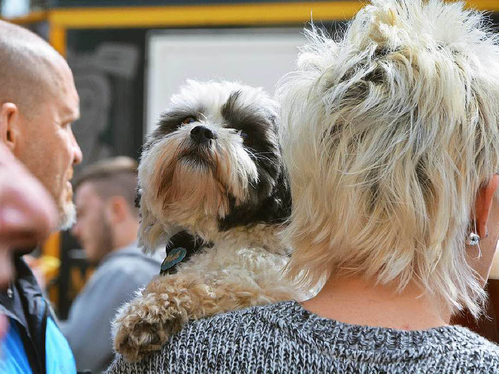 Reichlich Appetit brachten die 7000 Gste des BZ-Food-Truck-Fests mit auf das Gelnde der Alten Spinnerei in Lrrach-Haagen, wo die BZ ihr 70-jhriges Bestehen mit einer Party gefeiert hat.