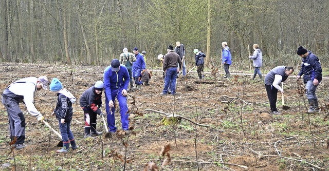 Forchheim. Die Helferrinnen- und Helfer bei der Pflanzaktion.  | Foto: Roland Vitt