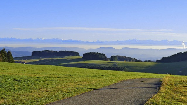 Das Alpenpanorama ist auf 90 Prozent d...ll die schne Aussicht thematisieren.   | Foto: sandhya Hasswani