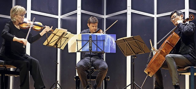 Das Kandinsky Streichtrio um die Geige...eindruckte in der Wehrer Stadthalle.    | Foto: Roswitha Frey