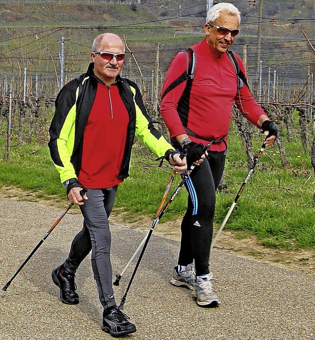 Durch Weinberge fhrte der Bassgeigenlauf.   | Foto: Herbert Trogus