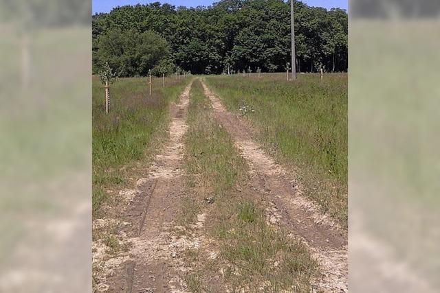 Gemeinde geht gegen Landwirte vor