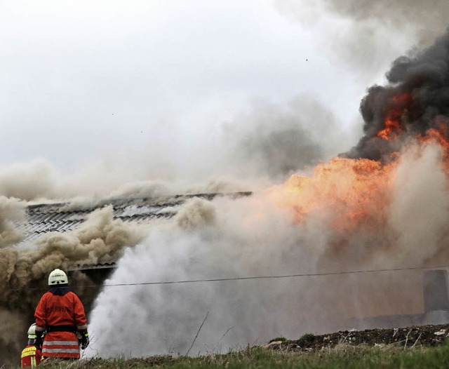 Lodernde Flammen und Rauchwolken waren...aus dem Stallgebude gerettet werden.   | Foto: Dieckmann
