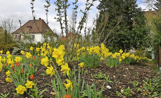 Der Garten der Freundschaft an der Nol...le of Glamorgan und Fcamp bepflanzt.   | Foto: Ingrid Bhm-Jacob