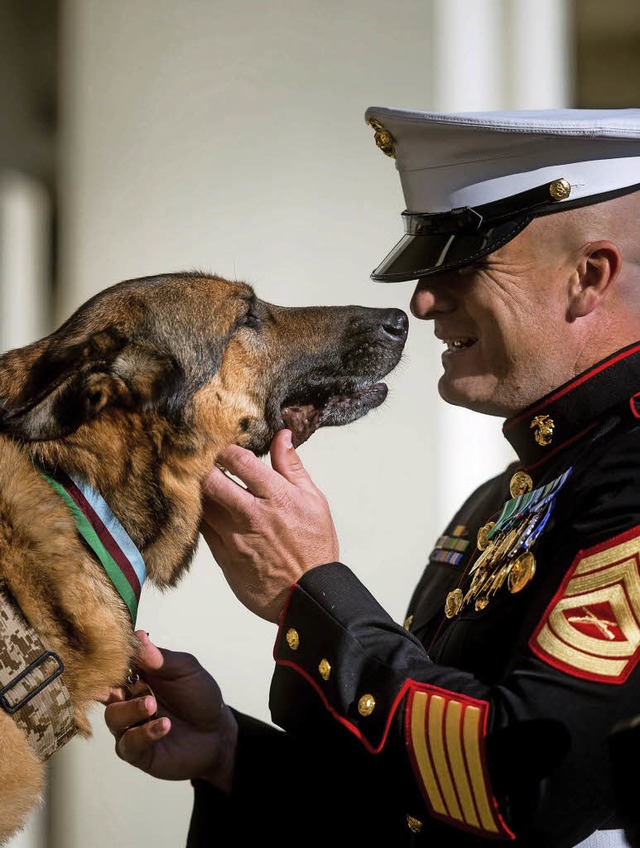 Lucca mit ihrem Herrchen, Sergeant  Chris Willingham   | Foto: dpa