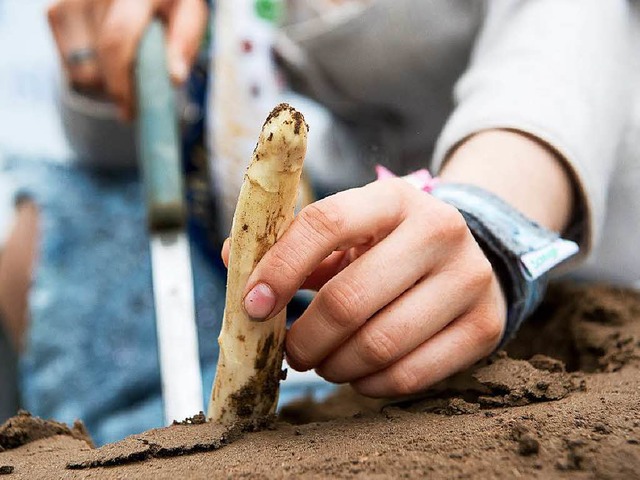 Auch Erntehelfer profitieren vom Minde...en Betrieben zu schlechteren Ertrgen.  | Foto: dpa