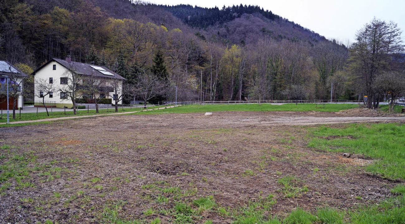 Die Parkplatzwiese an der Abzweigung d...en Sportbadparkplatz ausgebaut werden.  | Foto: Silke Hartenstein