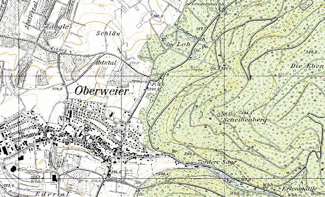 Schlu, Abtstal, Im Loh: In der topogr...iertal steht oben links im Ausschnitt.  | Foto: Geobasisdaten (C) LGL BW (www.lgl-bw.de)