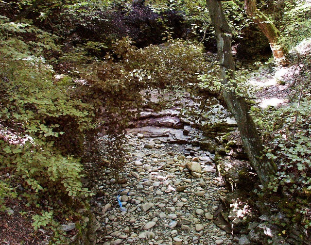 Im groen Einzugsgebiet des Drrenbach...xtremfall berschwemmt werden knnen.   | Foto: Archiv: BZ