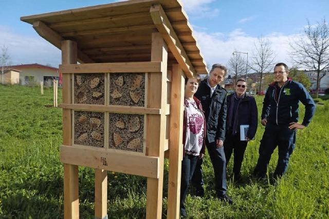 Insektenhotels ffnen ihre Pforten