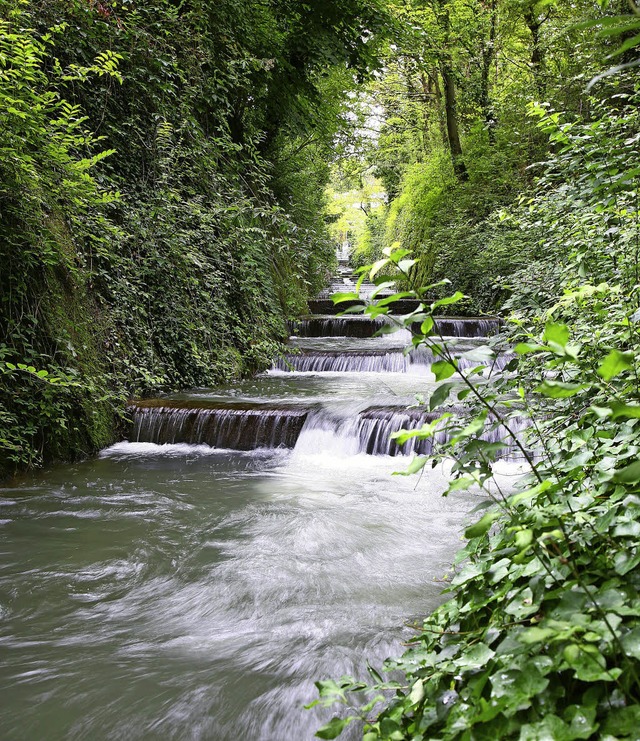 In Laufenburg knnen Fische und andere...n  Ufern ber Fischtreppen passieren.   | Foto: Energiedienst