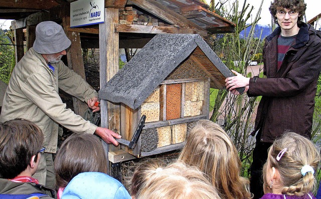 Der Naturschutzbund  stellte im Garten...ldbienenhaus zusammen mit den Kindern.  | Foto: Ounas-Krusel