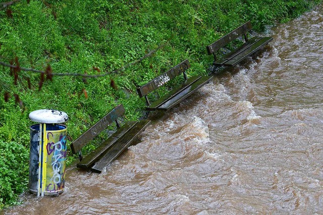 Hochwasser der Dreisam in Freiburg  | Foto: Rita Eggstein