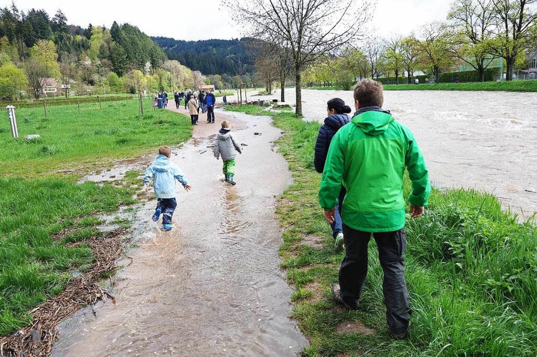 Hochwasser der Dreisam in Freiburg  | Foto: Julia Littmann