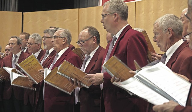 Der Mnnergesangverein Steinenstadt un...hlingsfestival in der Baselstabhalle.  | Foto: Dorothee Philipp