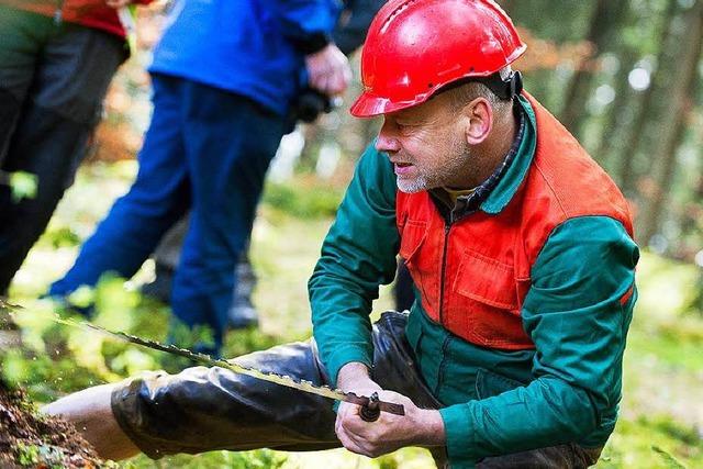 Fotos: Baumfllaktion mit Sge und Axt