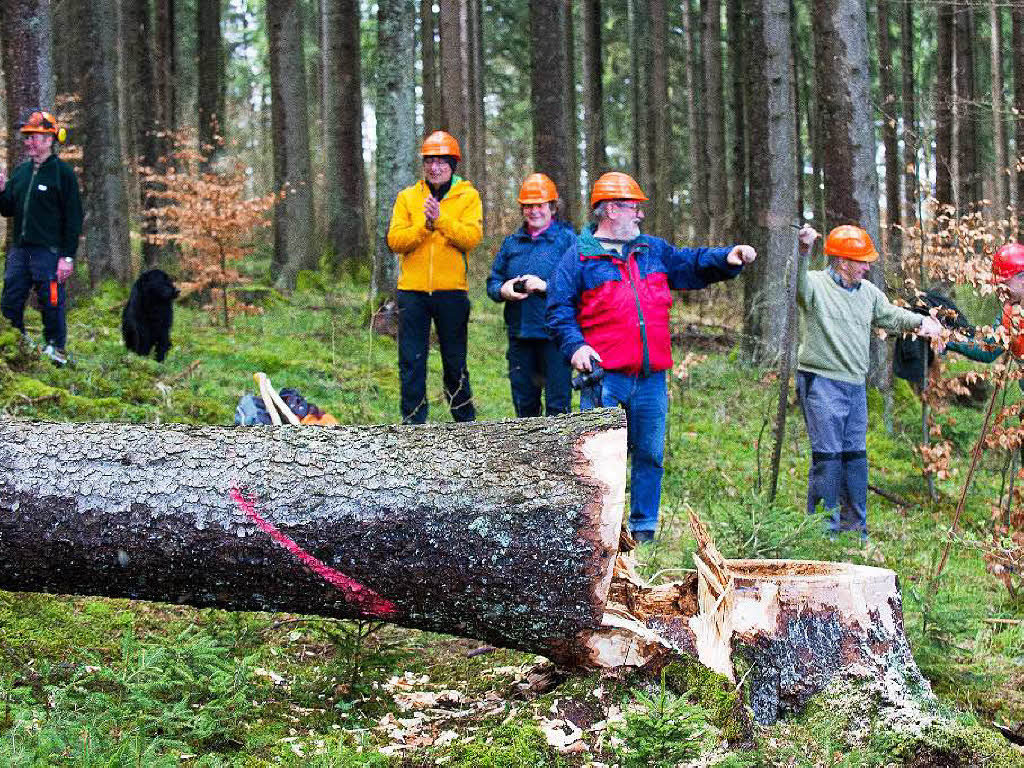 Einen Baum fällen ganz ohne Motorsäge und Sprit: Ein Holzfäller-Tag anno 1910 auf dem Vogtsberg in Gündelwangen war Auftakt für die Holztage in Bonndorf im Juni. Einen Baum fällen ganz ohne Motorsäge und Sprit: Ein Holzfäller-Tag anno 1910 auf dem Vogtsberg in Gündelwangen war Auftakt für die Holztage in Bonndorf im Juni.