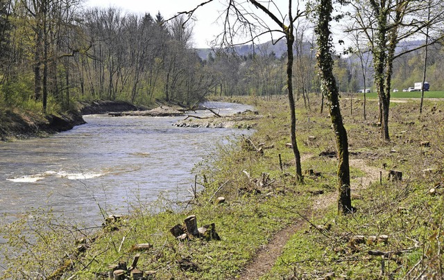 Der  Flusslauf der Wutach soll durch e...erlauf in Schleifen schon realisiert.   | Foto: Dietmar Noeske