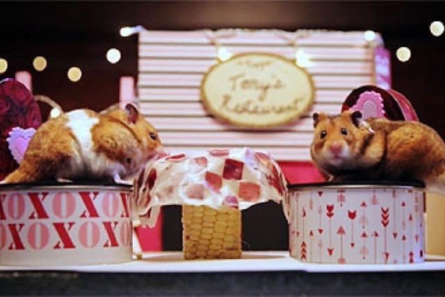 So feiern zwei Hamster den Valentinstag