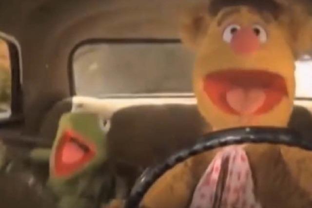 Die Muppets singen 