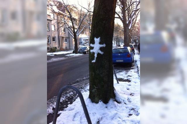 Vermisst irgendjemand eine Katze?
