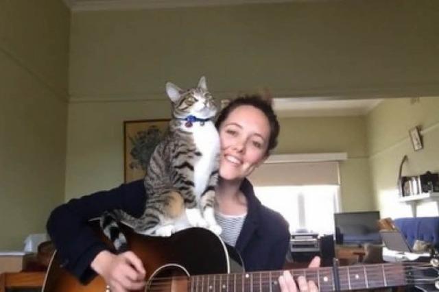 Video: Katze turnt auf Gitarre